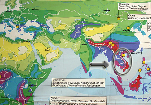 Artenvielfalt Artenvielfalt
